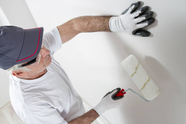 Best Real Estate Mold Inspection  in Nashua, NH